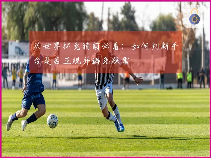 买世界杯竞猜前必看：如何判断平台是否正规并避免踩雷