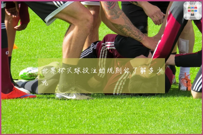 世界杯买球投注的规则你了解多少呢