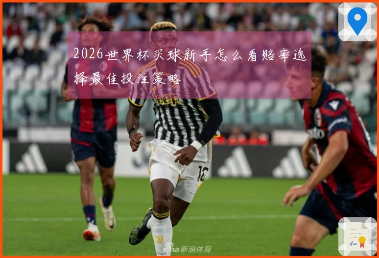 2026世界杯买球新手怎么看赔率选择最佳投注策略