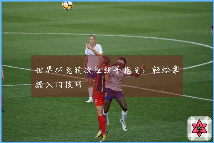 世界杯竞猜投注新手指南，轻松掌握入门技巧