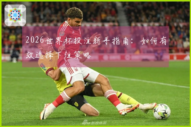 2026世界杯投注新手指南：如何有效选择下注策略