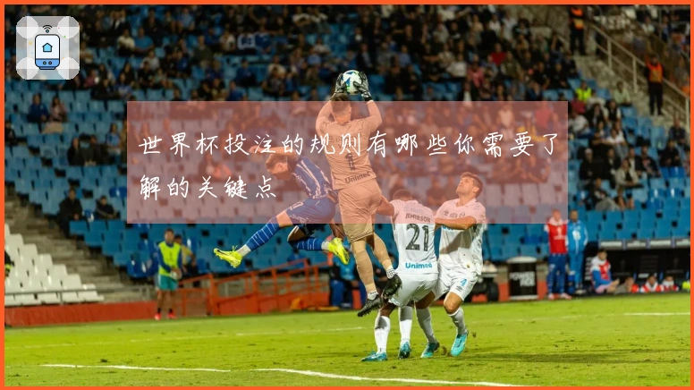 世界杯投注的规则有哪些你需要了解的关键点