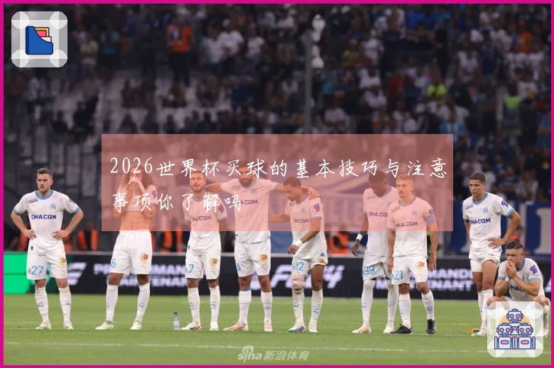 2026世界杯买球的基本技巧与注意事项你了解吗