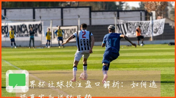 世界杯让球投注盘口解析：如何选择赢家和逆转局势
