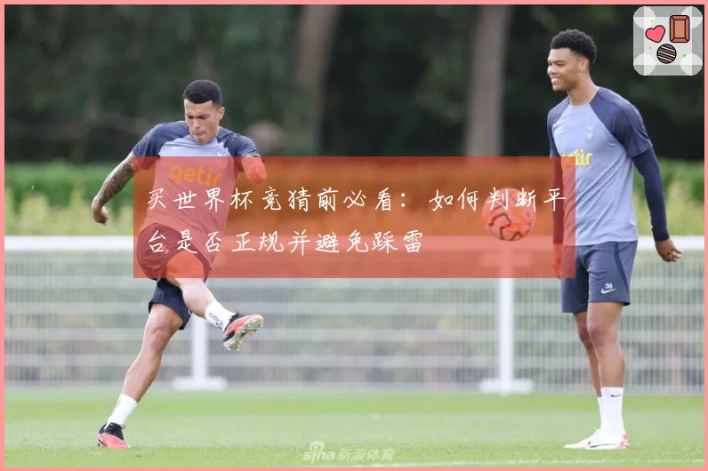 买世界杯竞猜前必看：如何判断平台是否正规并避免踩雷