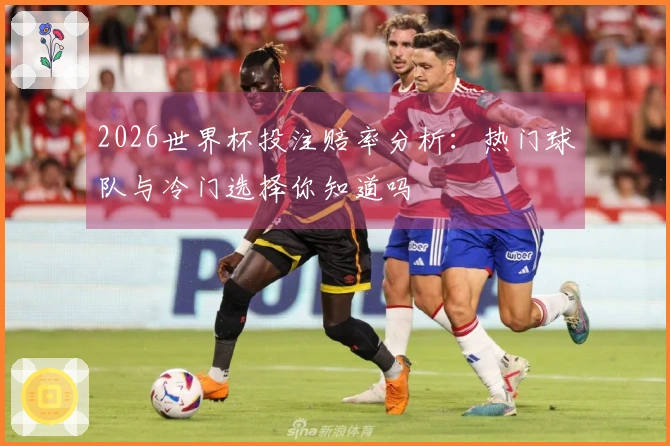 2026世界杯投注赔率分析：热门球队与冷门选择你知道吗