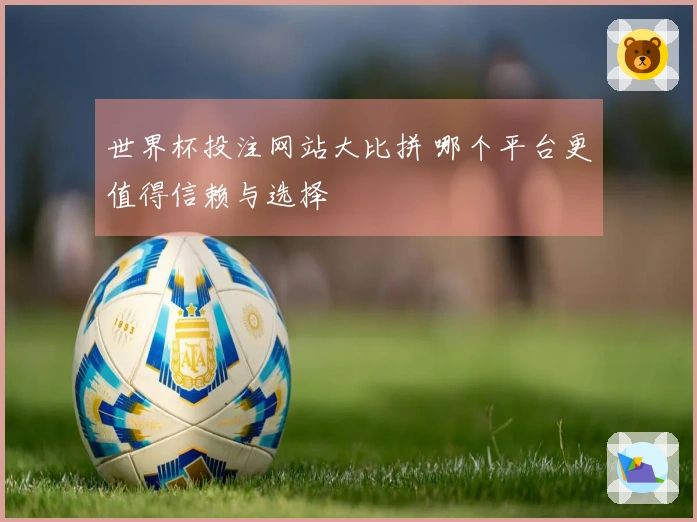 世界杯投注网站大比拼 哪个平台更值得信赖与选择