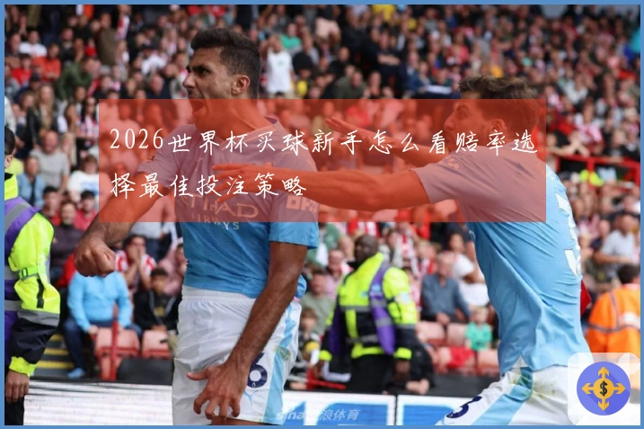 2026世界杯买球新手怎么看赔率选择最佳投注策略