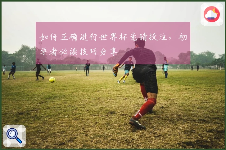 如何正确进行世界杯竞猜投注，初学者必读技巧分享