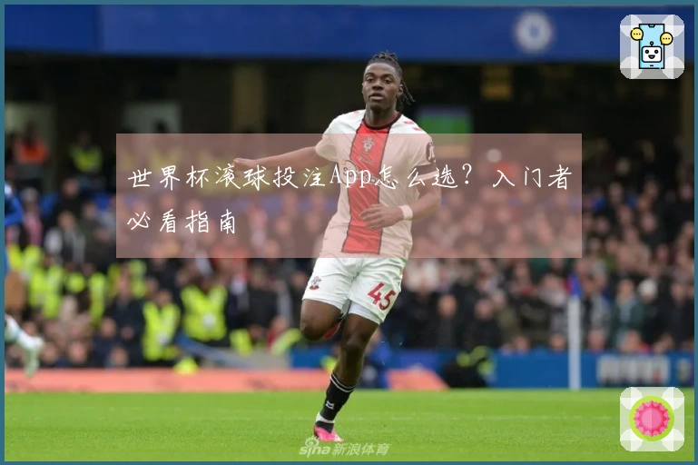 世界杯滚球投注App怎么选？入门者必看指南